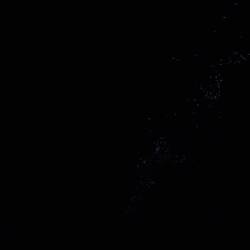 Glühwürmchen unter der Höhlendecke