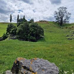 Fühlt sich an wie im Auenland