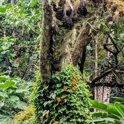 Freitag: kleine schöne Wanderung zu einem Wasserfall