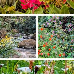 Blumen, Blumen und noch mehr