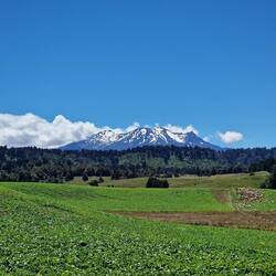 Mount Ruapehu aus der Ferne
