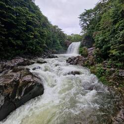 Tawhai Falls (Gollum's Pool)