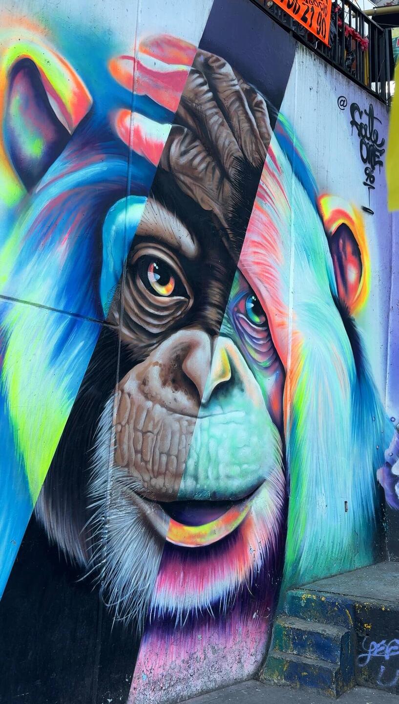 die Graffitis in der Comuna 13