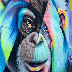 die Graffitis in der Comuna 13