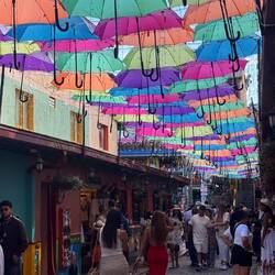 die Calle de los Paraguas