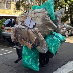 Die Recicladores in Medellin. Ein anerkannter "Berufszweig"
