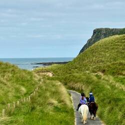 Path leading to the beach.