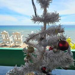 Und bei den Sitzgelegenheiten im Schatten tront der für mich am verrücktesten aussehende Christbaum!