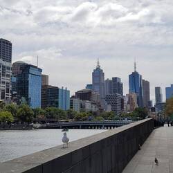 Den Tag bei humanen 26 Grad mit einem Spaziergang am Yarra River begonnen