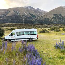 Unser Stellplatz für die Nacht, außer uns gibt's hier nur noch Hasen und Vögel.