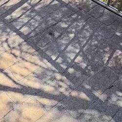 Turn up the volume to hear me screech!