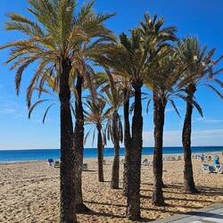 Benidorm liegt an einem kilometerlangen tollen Sandstrand.