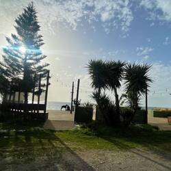 ..und dann nutzen wir das nette Plätzchen der Strandbar..