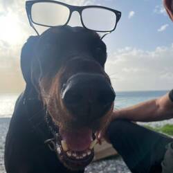 ..da sieht man wieder wer den Durchblick hat 😅