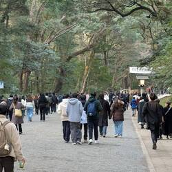 Nicht wenige wollen zum Tempel, den wir eigentlich nur beim vorbeilaufen mitnehmen wollten 😅