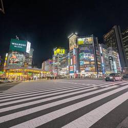 Diese Kreuzung fanden wir besser. So ein großen Zebrastreifen haben wir noch nie gesehen