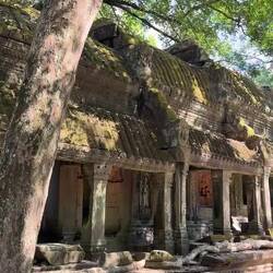 Ta Prohm