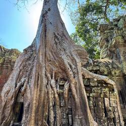 Ta Prohm