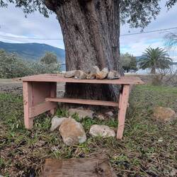 Steine für einen guten Preis zu kaufen.