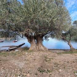 Da haben sich zwei lieb