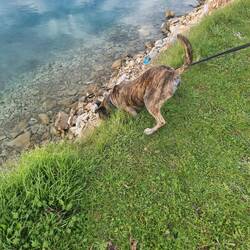 Da unten scheint es sehr spannend zu sein