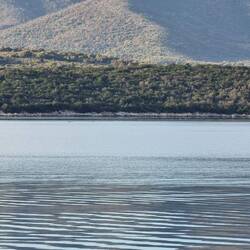 Wenn man ganz gut schaut, sieht man die Rückenflossen der Delfine