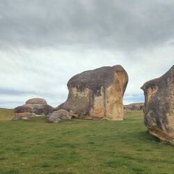 Hier sieht man warum die Elephant Rocks so heissen