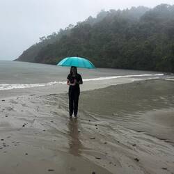 Wunderschöne Strände 🏝️ leider zu gefährlich zum Baden 🪼🐊