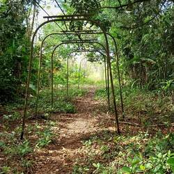 Bananen Transportbahn