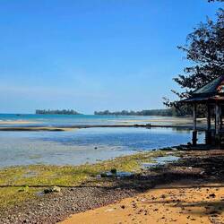 Pineapple Beach, a northern public beach