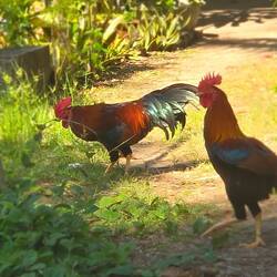 Should I feel bad that I used the food setting on my phone to take this?