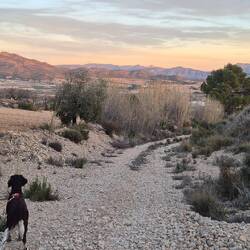 17:50 Uhr, nach >3 km Abstieg endlich wieder in der Zivilisation.