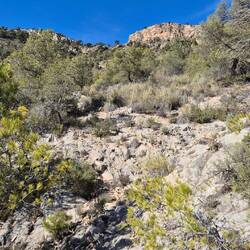 Koomot, wo schickst du uns hin🫣? Kein Weg, nur Felsen und Gestrüpp.