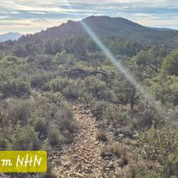 Ca. 1km auf dem Kammweg entlang. Ziemlich windig hier 🌬.
