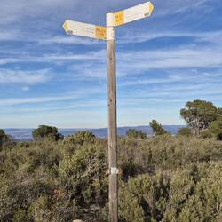 Oben angekommen 1034m NHN. In knapp 2h ist es dunkel und wir haben noch den Abstieg vor uns (5 km).