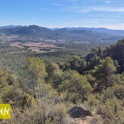 Wir suchen immer noch den Wanderweg. Die Zeit wird knapp, weil wir nur langsam vorwärts kommen.