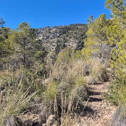 Jetzt geht es weiter mit einem Bergwanderweg, allerdings verkehrt und zurück.