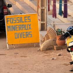 In dieser Gegend gibt es viele Fosilienfunde