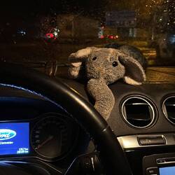 4:20 Abfahrt in Kölle