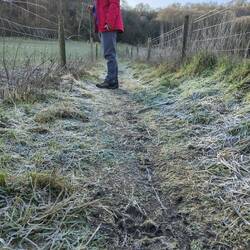 Frozen ground, Buriton