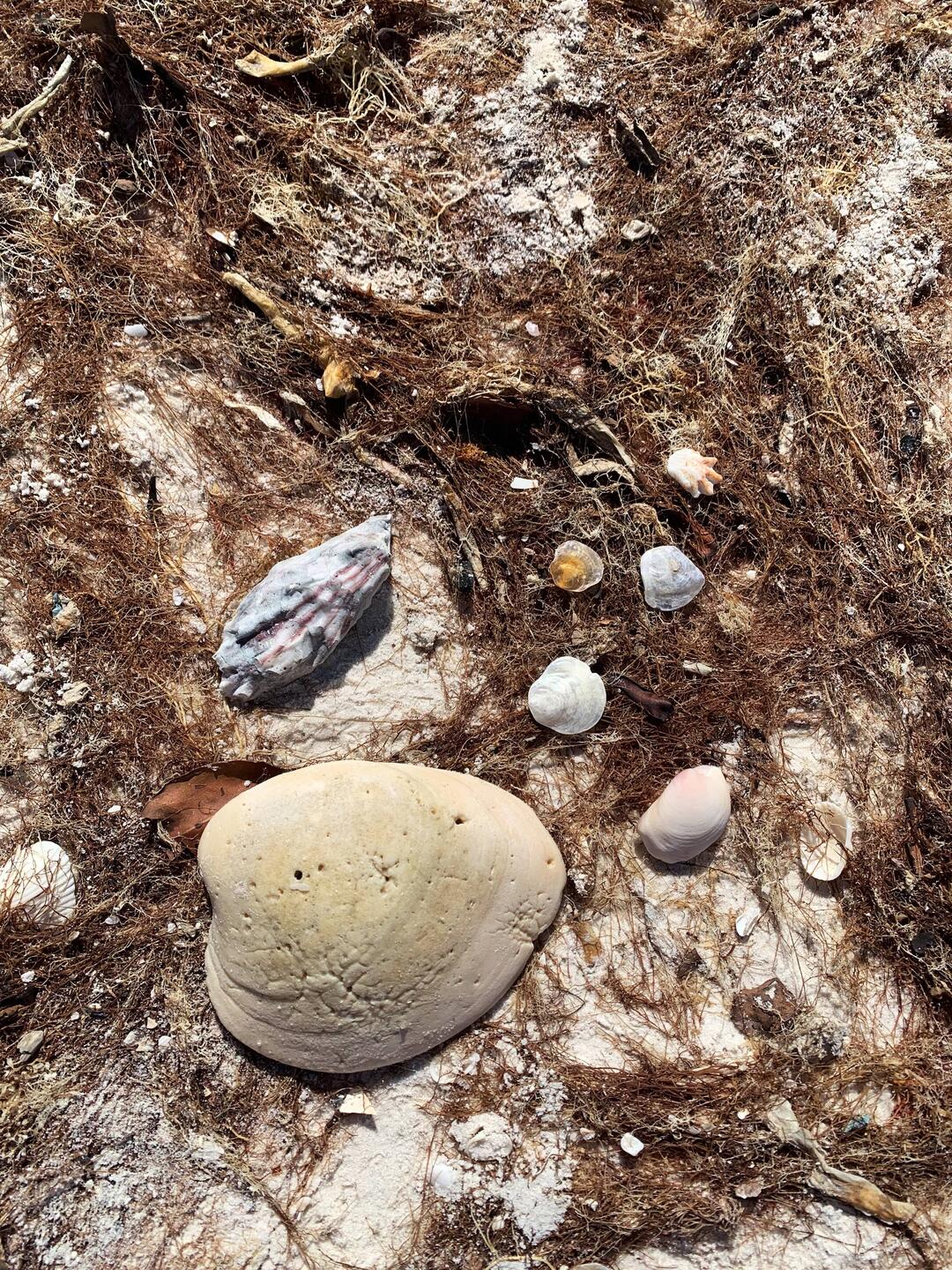 Man kann es einfach nicht lassen ☺️