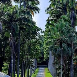The driveway up to the property (as seen from the property).