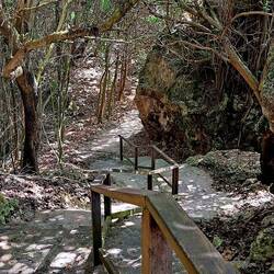 Walkway to the bottom of the namesake bay.