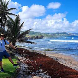 Bathsheba Beach in St Joseph's parish.