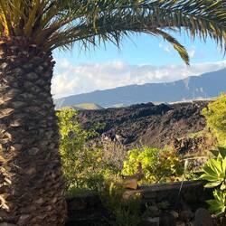 Lavafeld, direkt angrenzend an den Garten unseres Feriendomizils