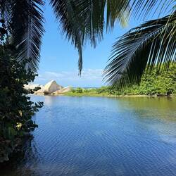 Caimen live here in this bay