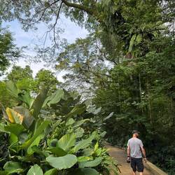 The lush jungly bits were the best bits of the Botanics. Steamy.