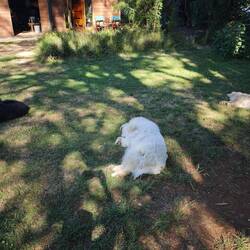 Das Bild beschreibt ziemlich treffend, wie es uns nach dem Kajakfahren ging.