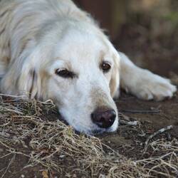 Begrüßung bei der Ankunft am Ausgangspunkt