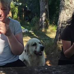 er wartet geduldig...